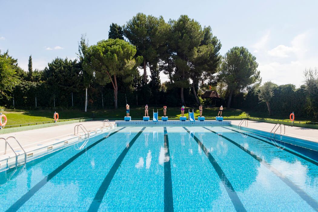 A pristine swimming pool surrounded by lush greenery with five divers poised at the edge ready to dive.